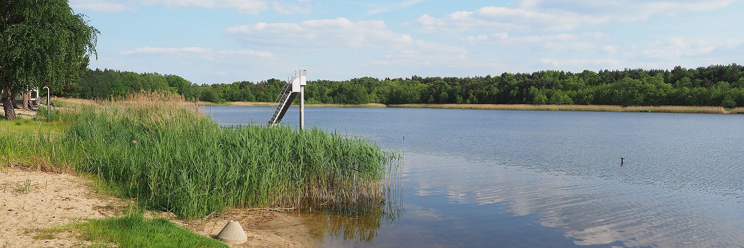 News und Inspiration für das Bundesland Sachsen